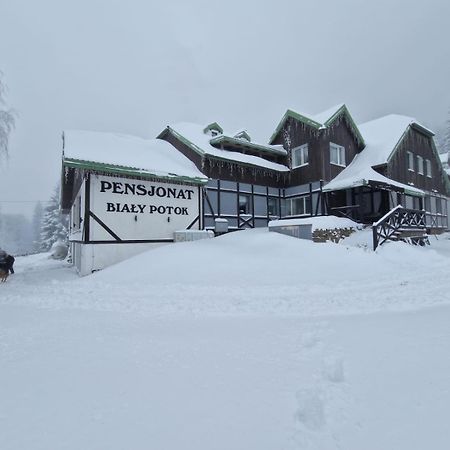 Bialy Potok Bed & Breakfast Zieleniec  Exterior foto