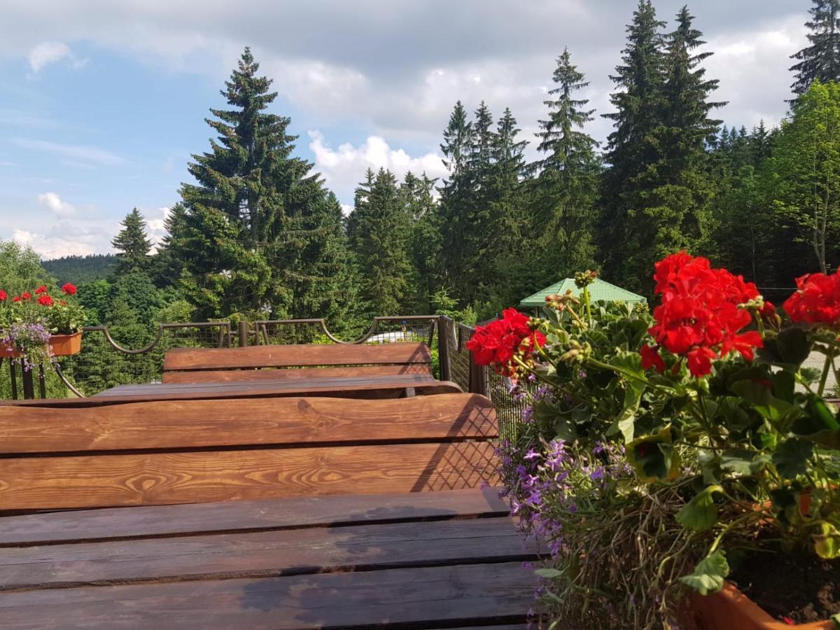 Bialy Potok Bed & Breakfast Zieleniec  Exterior foto