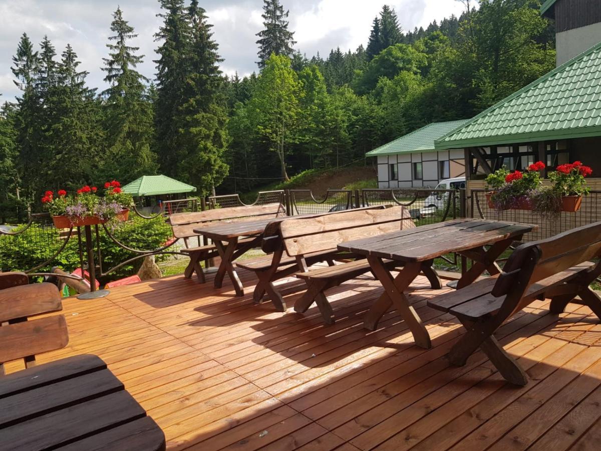 Bialy Potok Bed & Breakfast Zieleniec  Exterior foto
