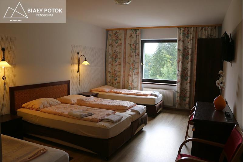 Bialy Potok Bed & Breakfast Zieleniec  Exterior foto