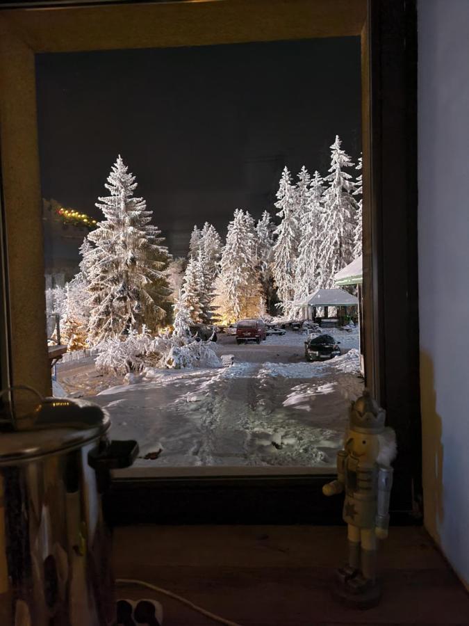 Bialy Potok Bed & Breakfast Zieleniec  Exterior foto