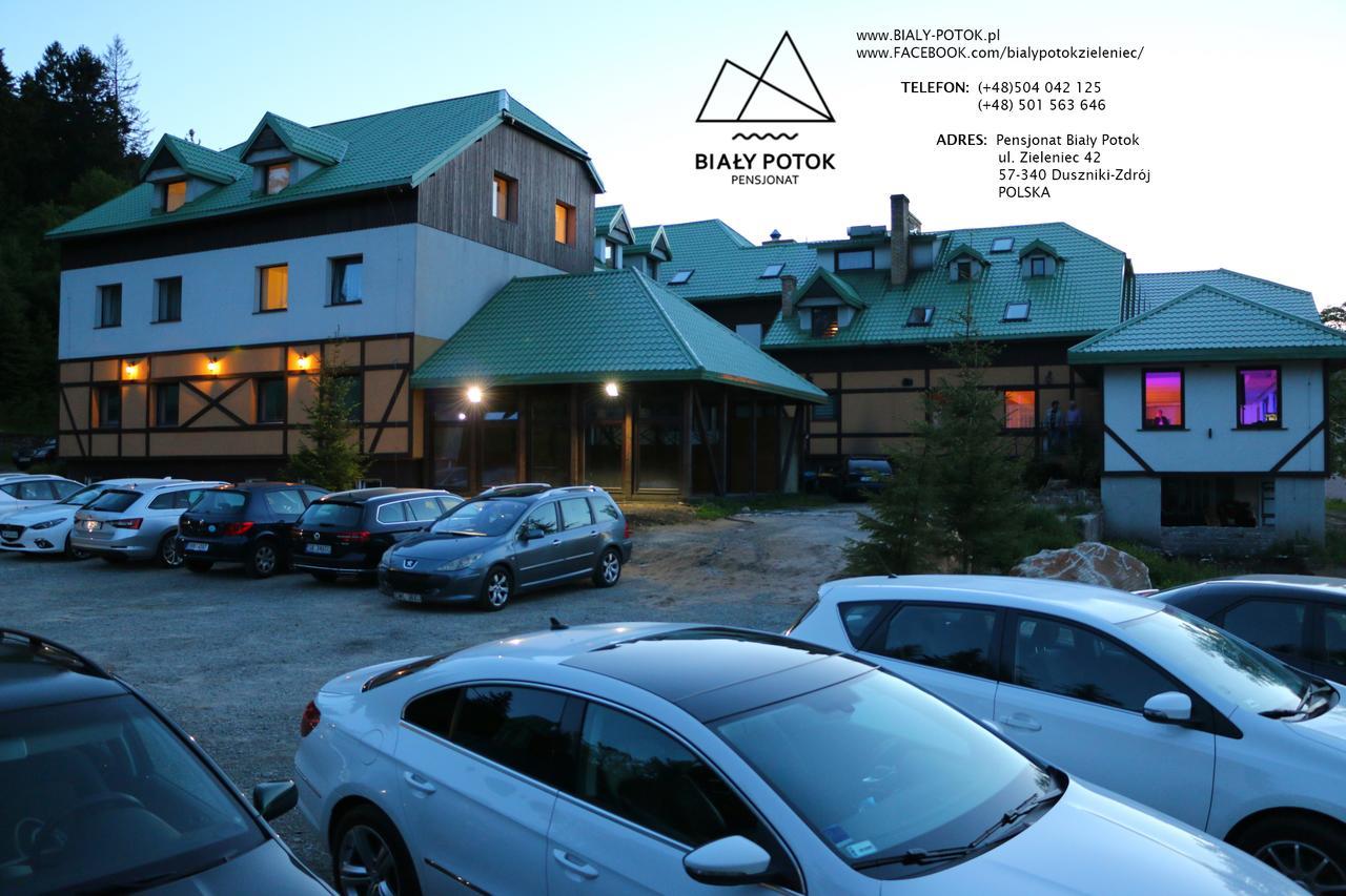 Bialy Potok Bed & Breakfast Zieleniec  Exterior foto